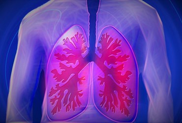 grafische weergave van longen