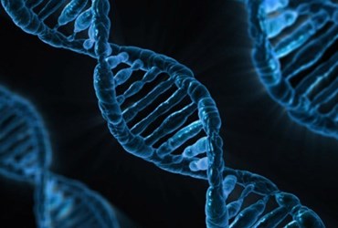 DNA-strengen
