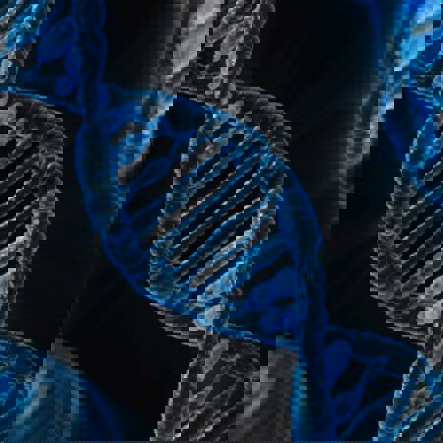 DNA streng DNA streng