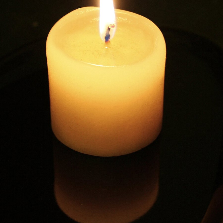 In Memoriam
